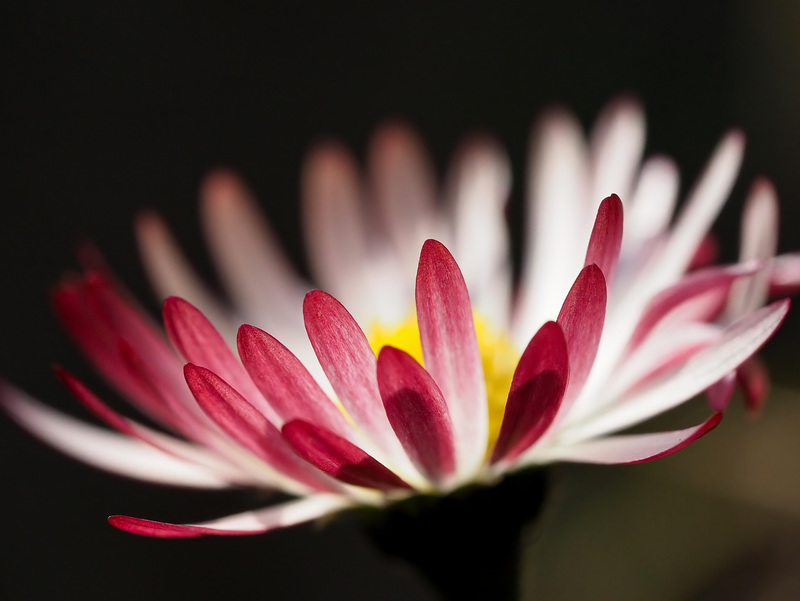 Frühling