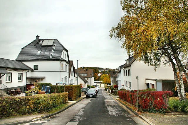 Tulpenstraße (Gevelsberg) / 24.10.2020