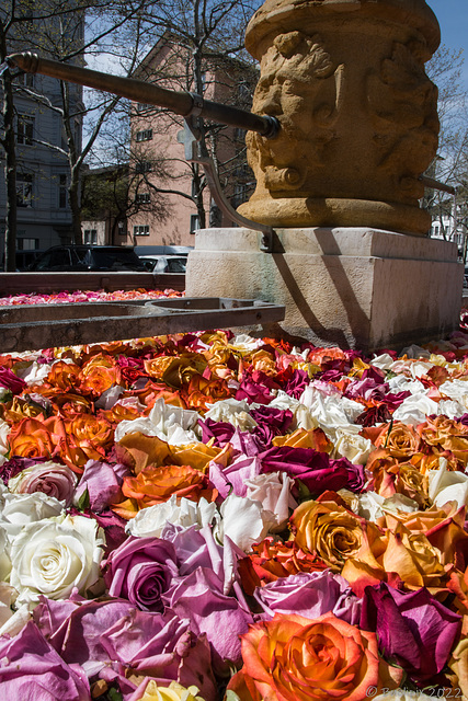 Zähringerplatz Brunnen ... P.i.P. (© Buelipix)