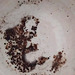 world photograph day - Coffee grounds