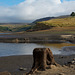 Dovestones in drought conditions