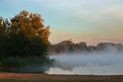 IMG 1174-FHD