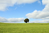 Vom Himmel gefallen