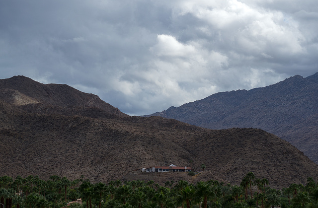 Palm Springs openness (0148)