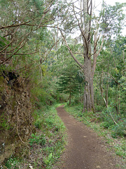 Teil der Wanderung für Jedermann