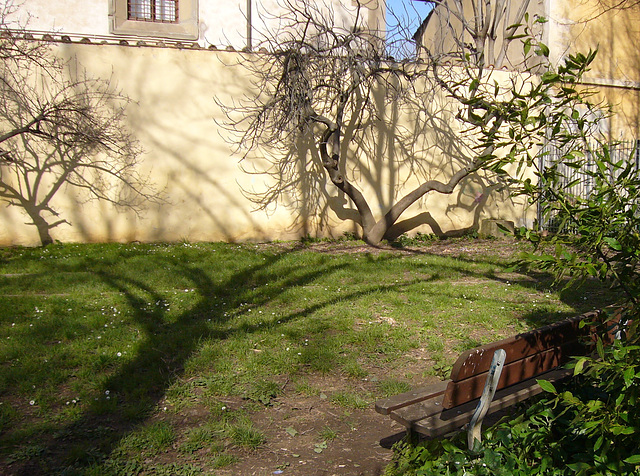 shadow theater at the park - HBM!