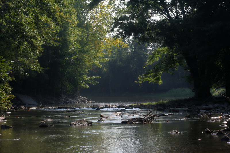 rivière du chêne