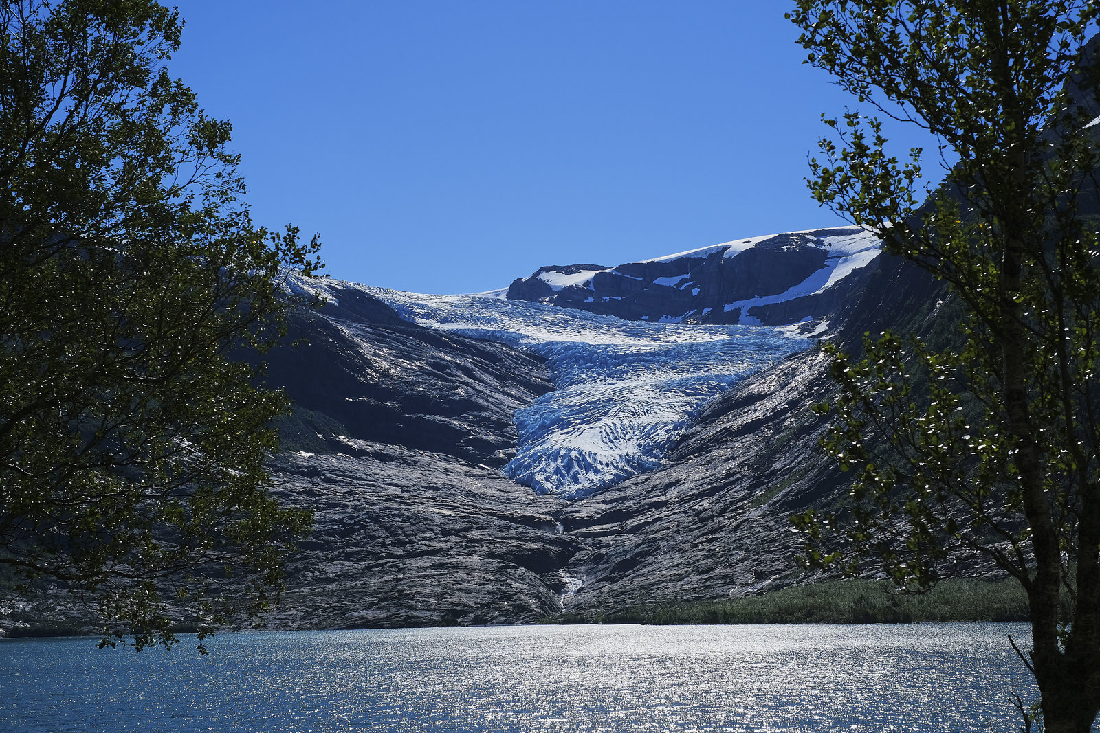 Svartisen Glacier 2