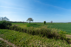 Köln - Fahrt mit dem historischen Schienenbus