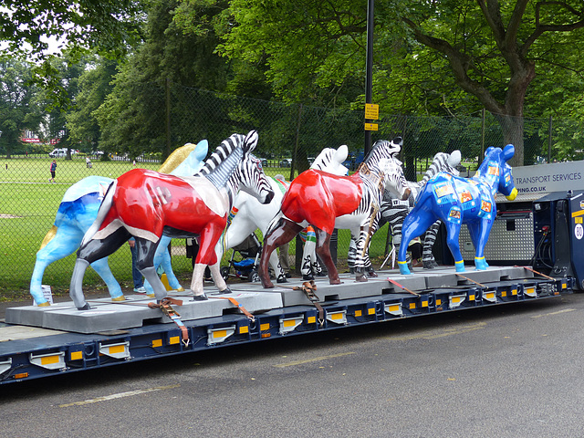 Zany Zebras On Parade_008 - 12 July 2016