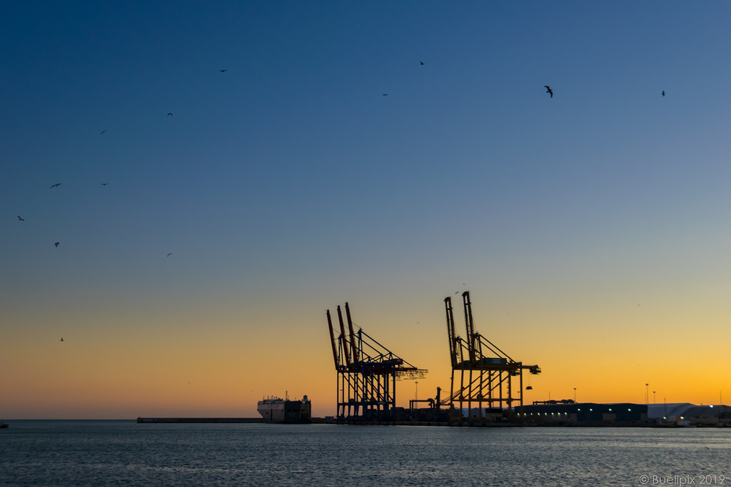 abends beim Hafen von Malaga (© Buelipix)