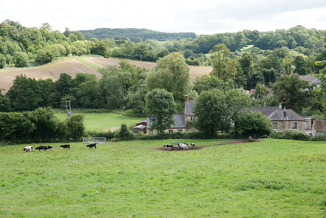 View From Jack And Jill Hill