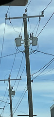 EVERSOURCE 22.9kV Y pole