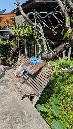 Banc insolite et occupé / Offbeat and busy bench