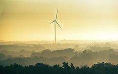 Einsames Windrad im Morgennebel