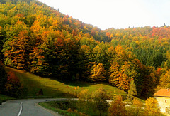 I can not stop, autumn is so beautiful