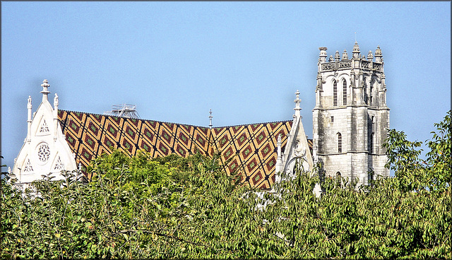 Bourg-en-Bresse /Brou (01) 26 septembre 2009.