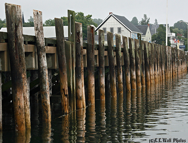 Pier Pilings