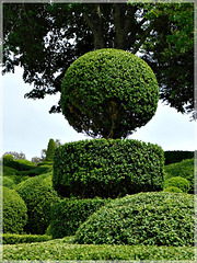 Jardins de Marqueysac (24)