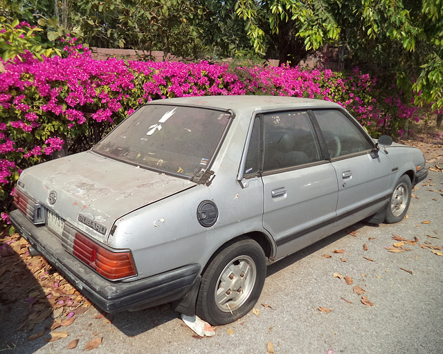 Subaru boudeuse / Sulking Subaru