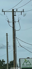 EVERSOURCE 22.9kV Y pole