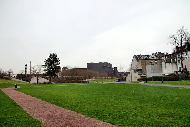 Grüngürtel zwischen Hüttenwerk und Wohngebiet (Duisburg-Bruckhausen) / 8.01.2022