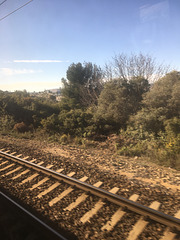 Et me revoilà dans le train , direction Marseille .