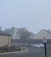 Neighbourhood morning