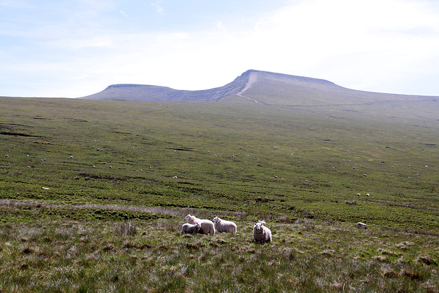 Mountain residents