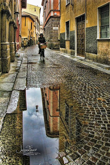 The historical center after a storm