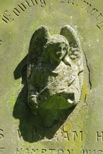 teddington cemetery, london