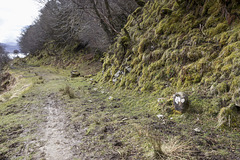 Hallaig path with milestone