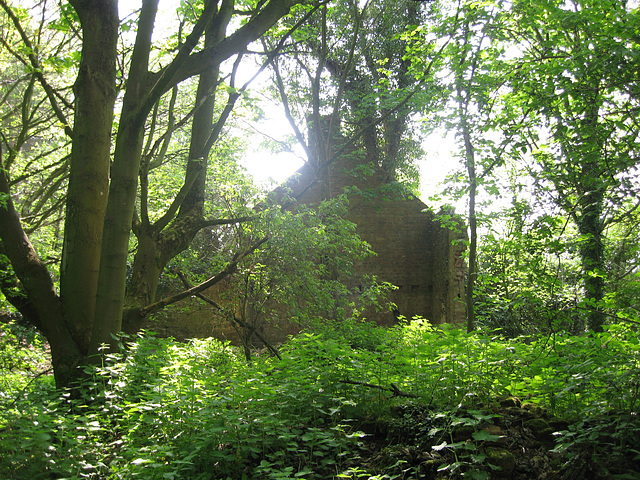 Remains of White Houses near the entrance to Woody Park