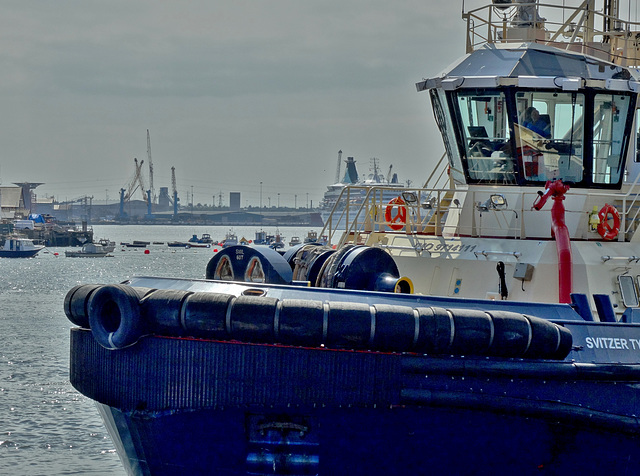 Svitzer Tyne Tug....waiting to guide and manoeuvre.