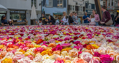 Münsterhof-Brunnen (© Buelipix)