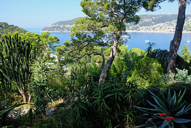 SAINT-JEAN CAP-FERRAT: Visite de la Villa EPHRUSSI DE ROTHSCHILD. 38