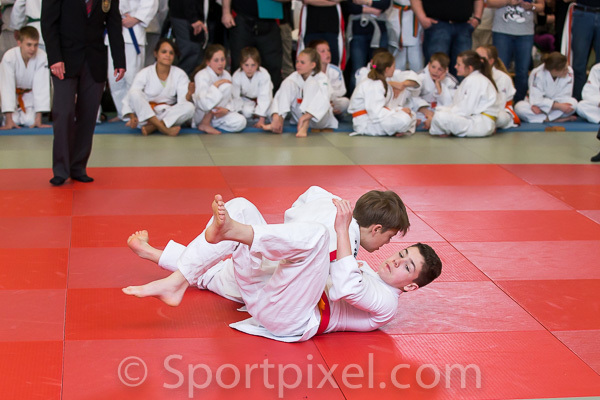 oster-judo-0534 16962061819 o