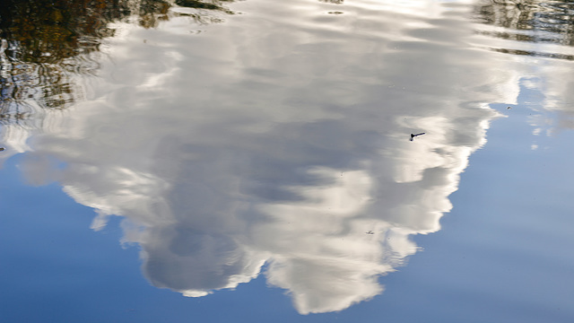 Réflexion nébuleuse