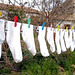 Penedos, white socks laundry day
