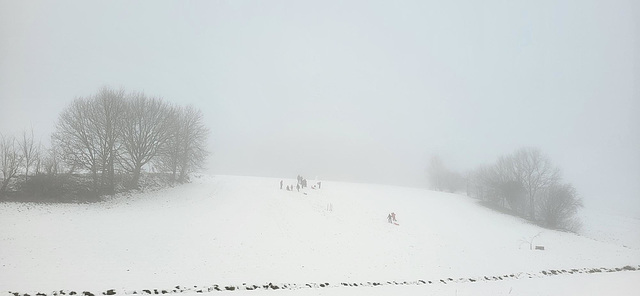 all in White and Black due to dense Fog and heavy Snowfall ⛄☃️