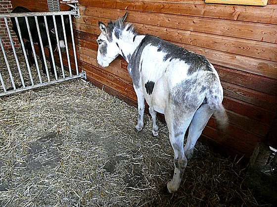 HFF voor iedereen....