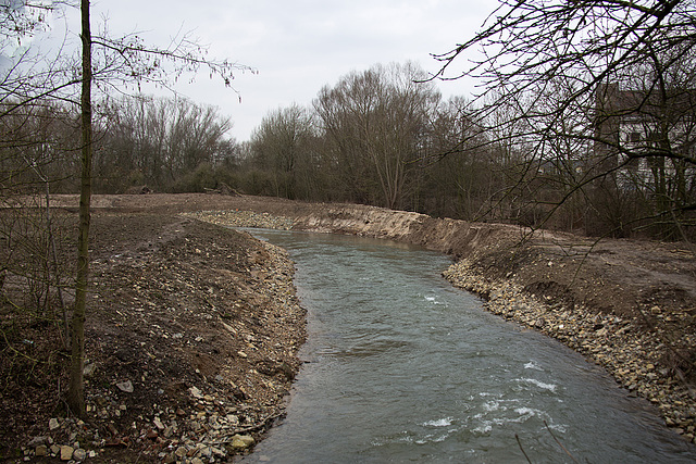 20160217 0073VRAw [D~LIP] Bega, (neues Flussbett), Bega-Aue, Bad Salzuflen