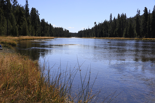 Firehole River