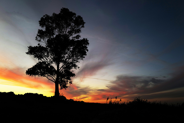 Penedos, Eucalipto, End of day