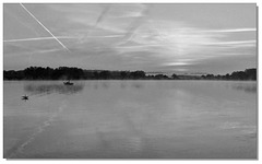 296 L'Adour un matin, un pêcheur, un cygne noir...