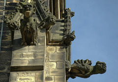 Gargoyles 4