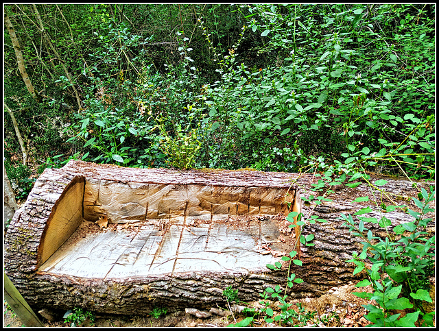 Robledal de Orgi (Navarra), 11