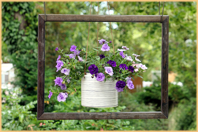 framed flowers for Pam (pip)