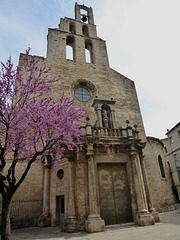 Banyoles in bloom