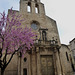 Banyoles in bloom